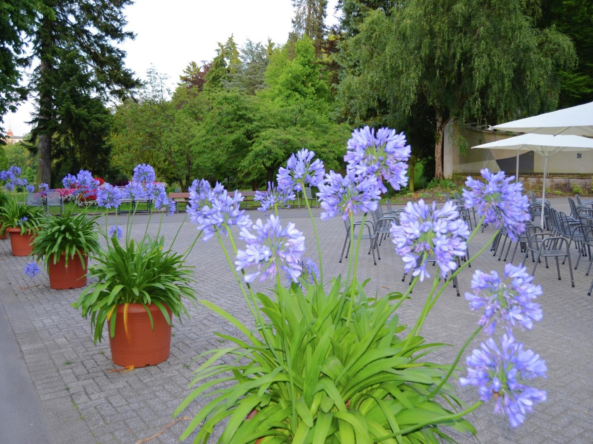 Charming Apartment With Private Terrace Bad Wildungen Buitenkant foto